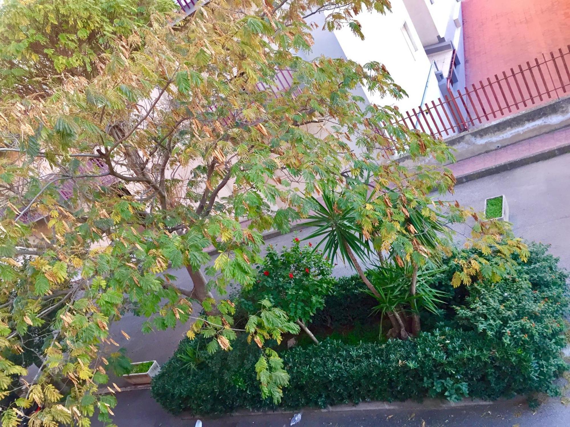 Apartmán Casa Cristina Comiso Exteriér fotografie